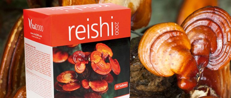 Reishi 2000