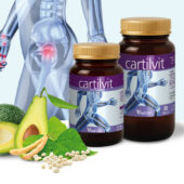 Cartilvit