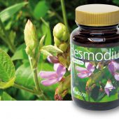 Desmodium