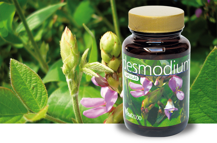 Desmodium