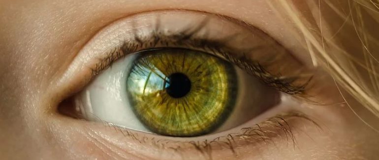 Se demuestra el efecto protector del azafrán frente al glaucoma
