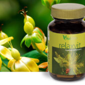 Relaxvit