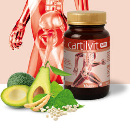 CARTILVIT MAX