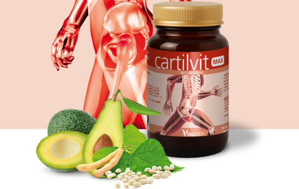Cartilvit Max
