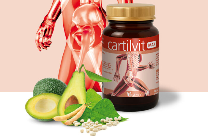 Cartilvit Max
