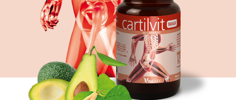 CARTILVIT MAX