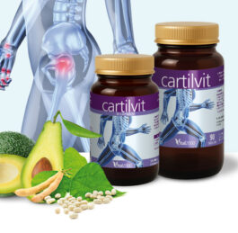 Cartilvit