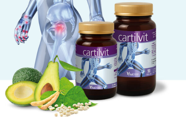 Cartilvit