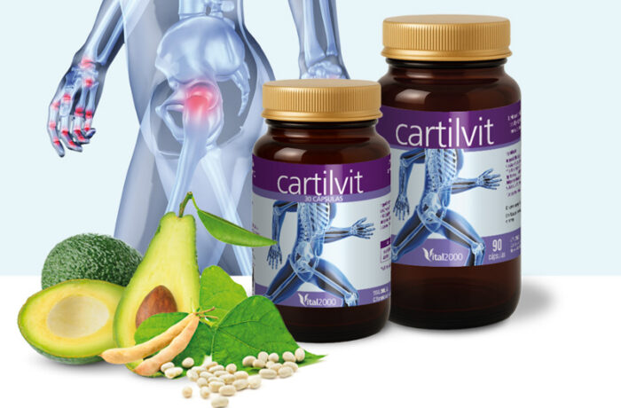 Cartilvit
